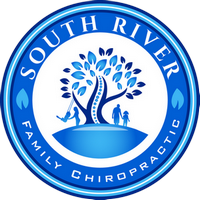 south river chiropractic