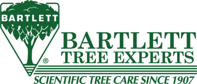 Bartlett Tree Service