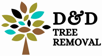 D and D Tree Removal